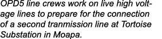 OPD5 line crews work on live high voltage lines to prepare for the connection of a second tranmission line at Tortois...