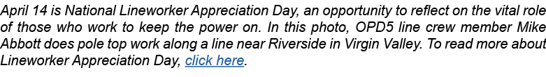 April 14 is National Lineworker Appreciation Day, an opportunity to reflect on the vital role of those who work to ke...