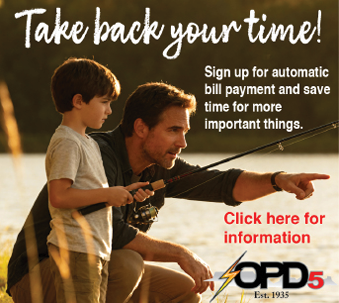 An adult and a child are fishing together by a lake during sunset with text encouraging signing up for automatic bill payment to save time. Description generated by AI